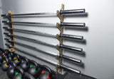 6-Bar Gun Rack with Liner