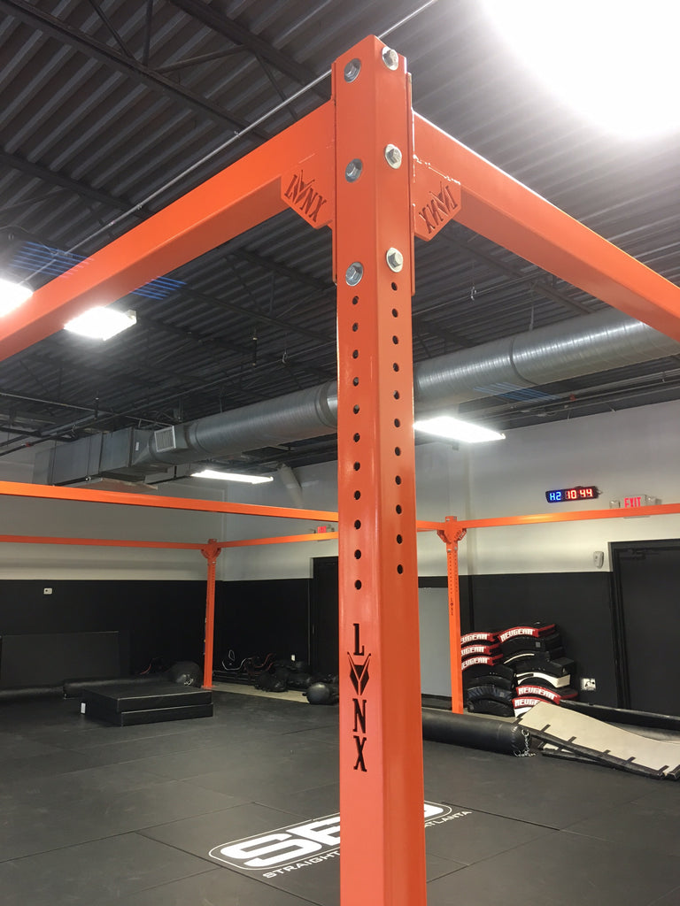 Custom Kickboxing Rig (Call for Pricing)